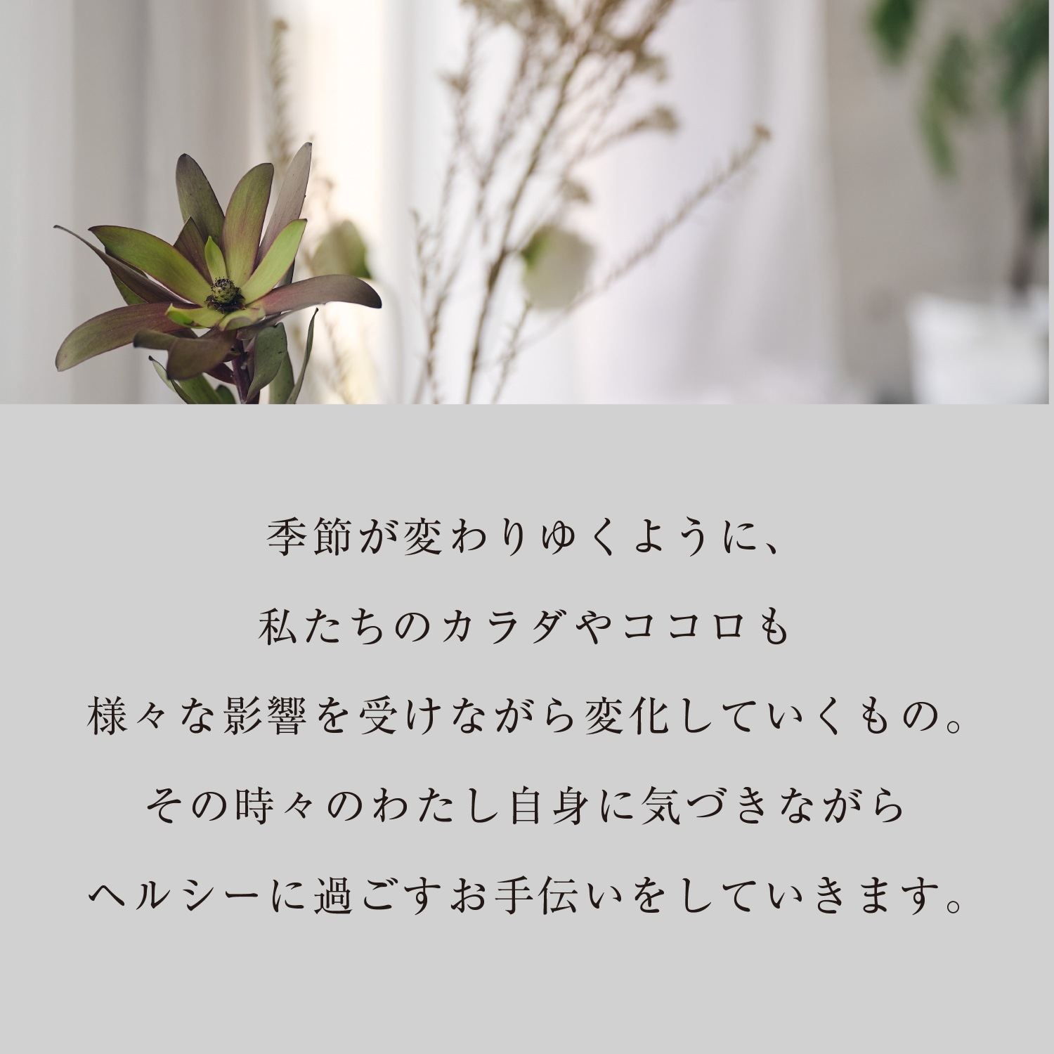 セルフケアBOX AUTUMN