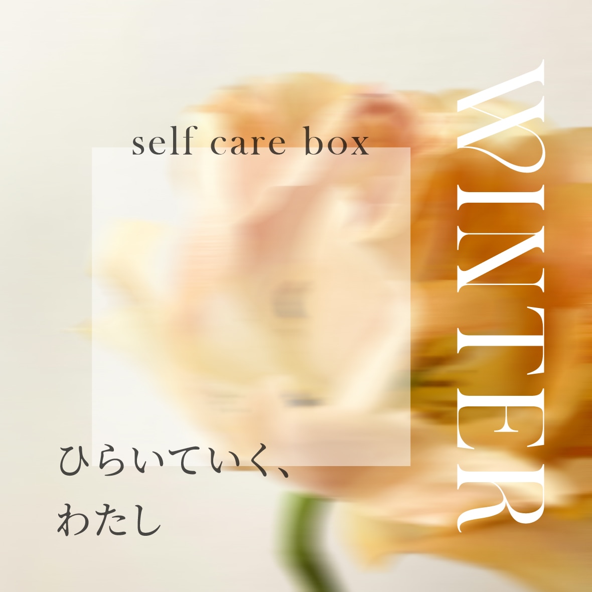 セルフケアBOX WINTER