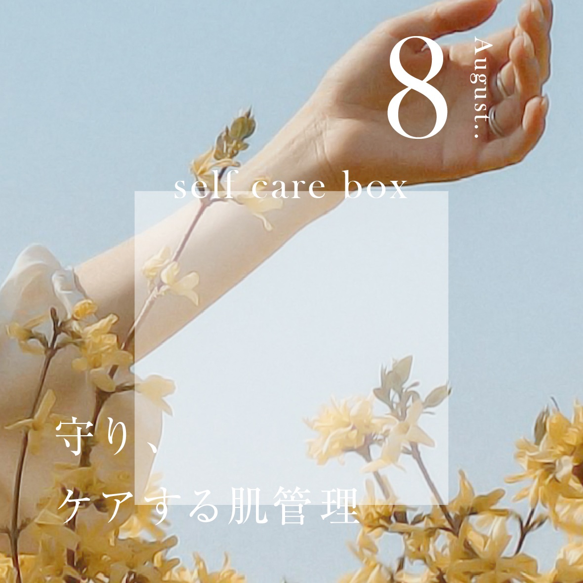 【追加販売】<br>セルフケアBOX8月号