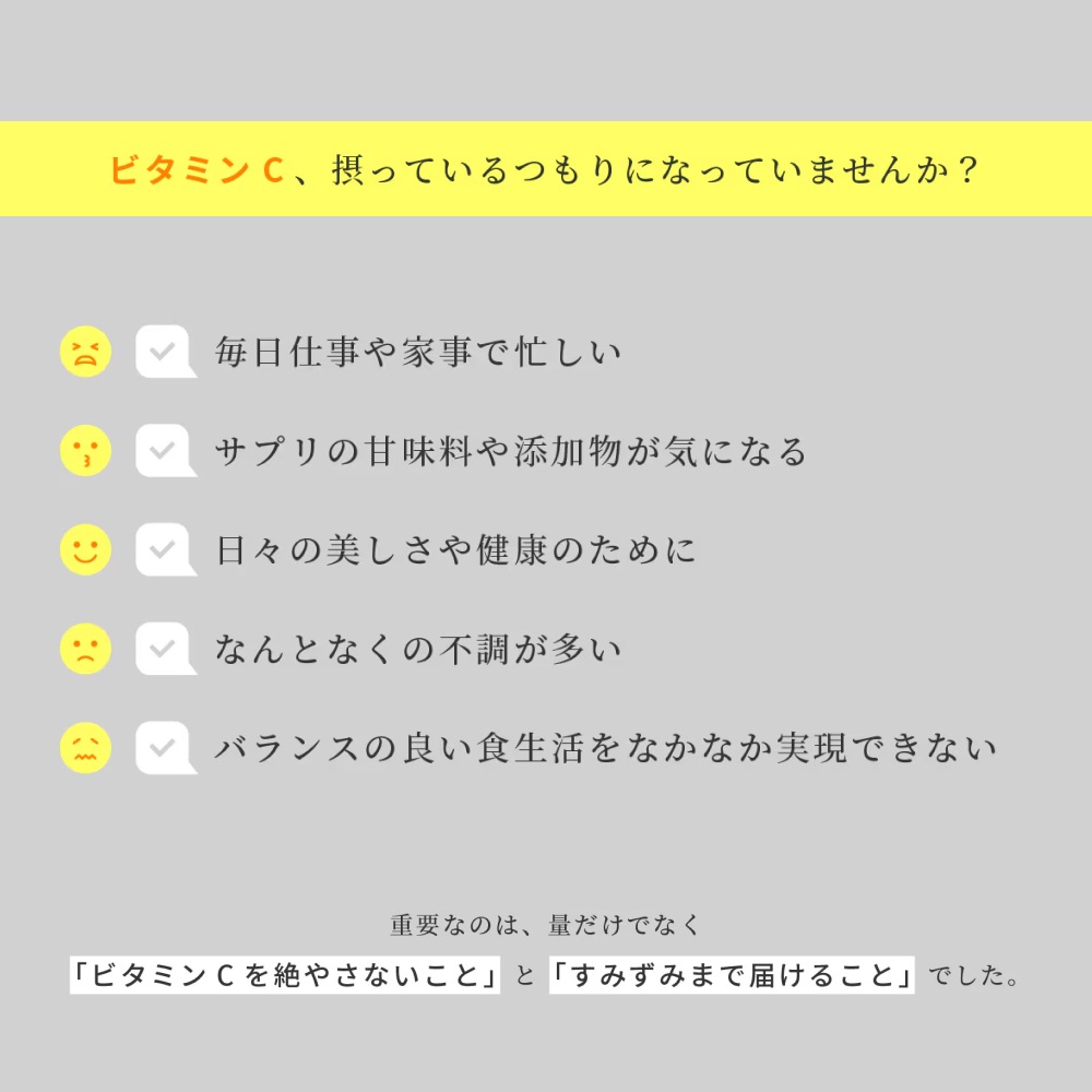 【定期便】<br>毎月お届け Flow Vita C