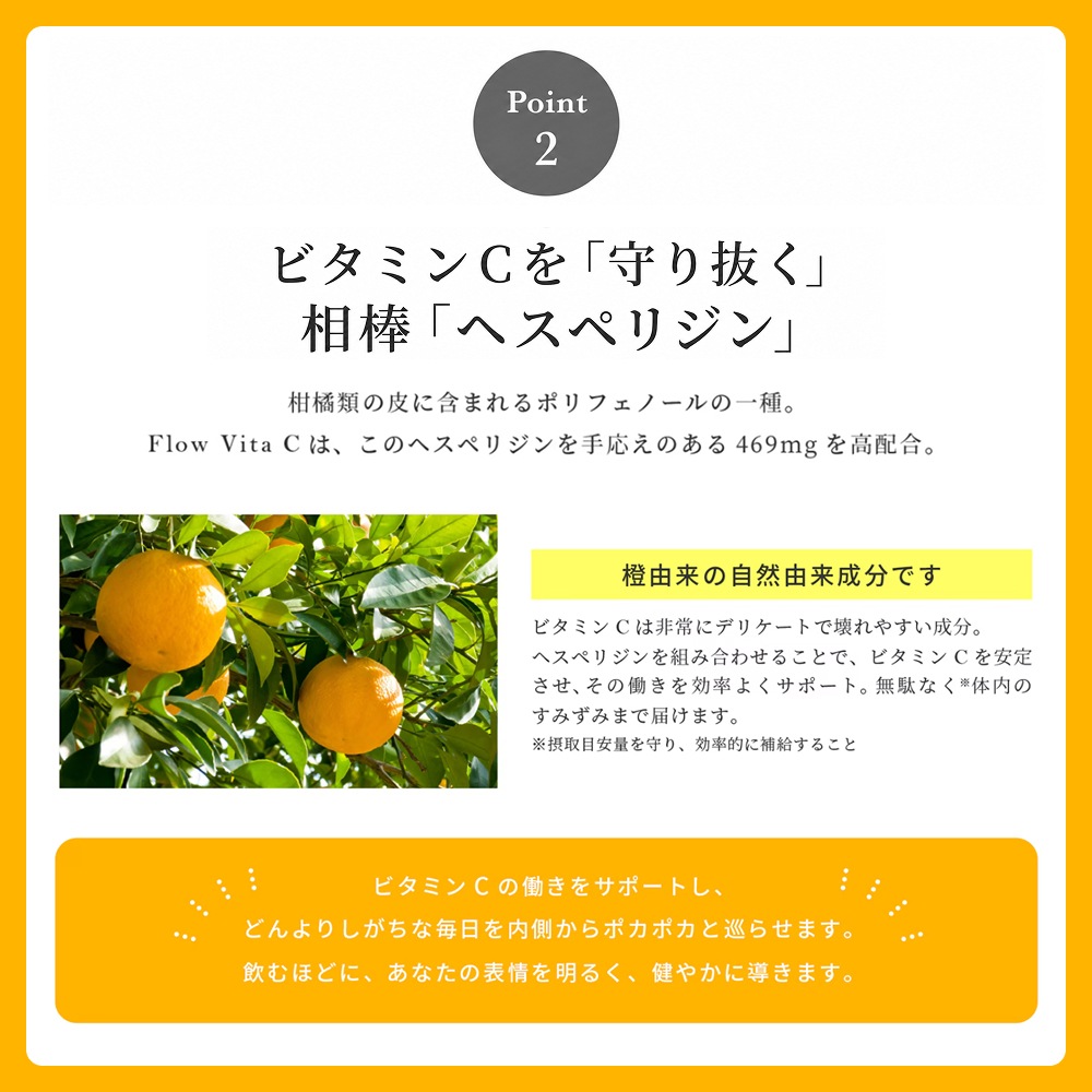 【定期便】<br>毎月お届け Flow Vita C
