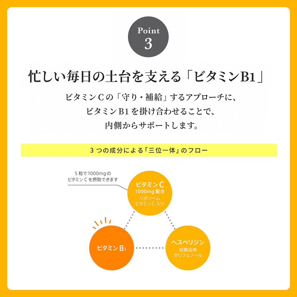 【定期便】<br>毎月お届け Flow Vita C