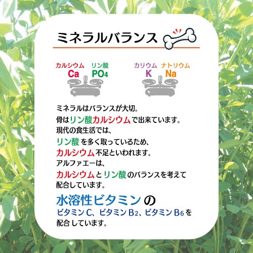 アルファエー（ミニパック）