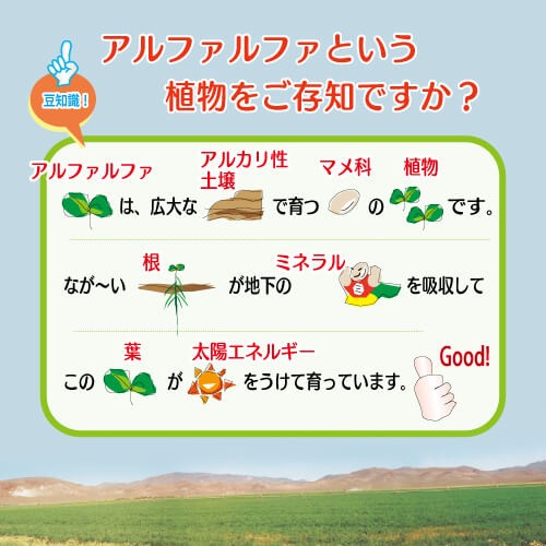 アルファエー（希釈）