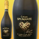 �ܥǥ������˥����������饽�󡦥��ץޥ��