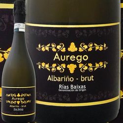 ���������ʡۥܥǥ������������饵�� /�����쥴������Х꡼�˥硦�ꥢ�����Х����㥹�����ѡ�����󥰡��֥��å�NV