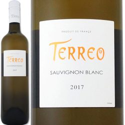 �ƥ쥪�����������˥��2017