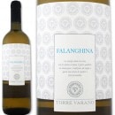 �ȥå졦�����顼�Ρ�����ѡ��˥㡦�ե���󥮡��� 2016