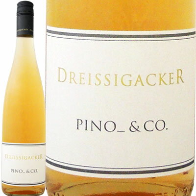 �ɥ饤���������å������ԥΡ���CO.��2017