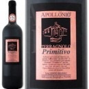 ���åݥ����˥����ƥ�˥硼���������ȡ��ץ�ߥƥ������� 2013