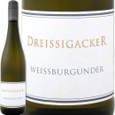 ɥ饤å ֥륰ȥå2016