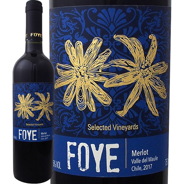 ֥󡦥եߥ꡼磻󥺡ե2017