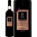 åݥ˥ǥȡ䥳ڥƥΡꥼ 2011