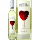 �ܥǥ������˥��������ɥ��륻�����饽��2018