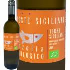 �����ơ������ꥢ���͡�����ĥ��ꥢ���ӥ�������