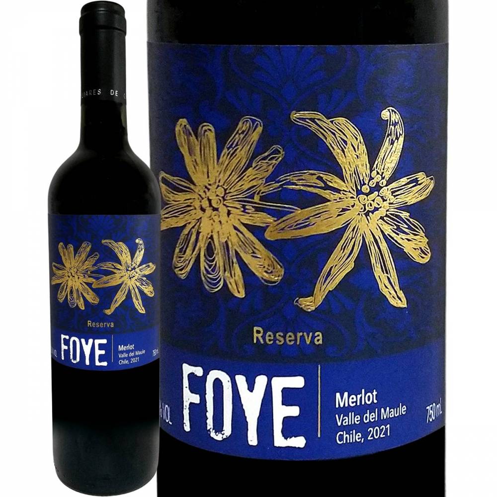 ֥󡦥եߥ꡼磻󥺡ե2021