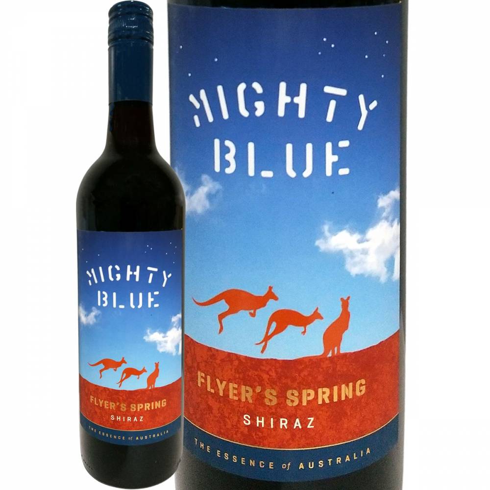 �ޥ��ƥ����֥롼���ե饤�䡼�������ץ�󥰡����顼��  NV