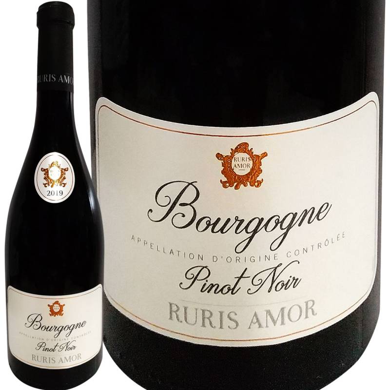 ルノワール、ROSES DE DIJON、海外版超希少レゾネ、新品額付 ルノワール、ROSES DE DIJON、海外版超希少レゾネ、新品額付