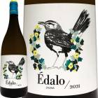 ����ȥ�饹���륤�������������֥�󥳡��������˥å���2021