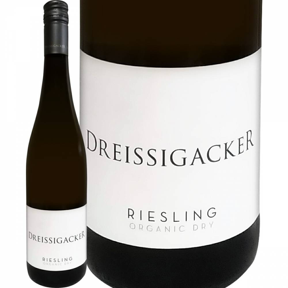 �ɥ饤���������å������꡼����󥰡��������˥å����ȥ��å���2021