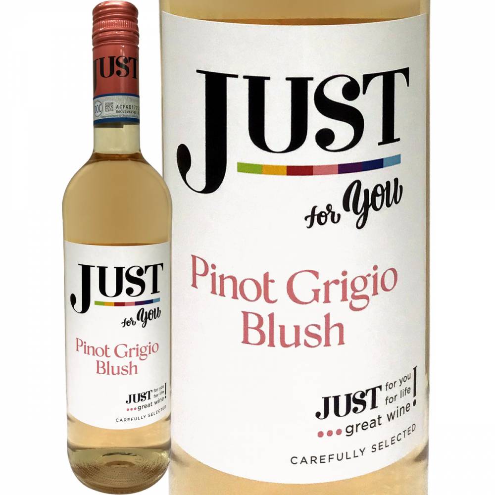 ���㥹�ȡ��ԥΥ��꡼���硦�֥�å���(����)