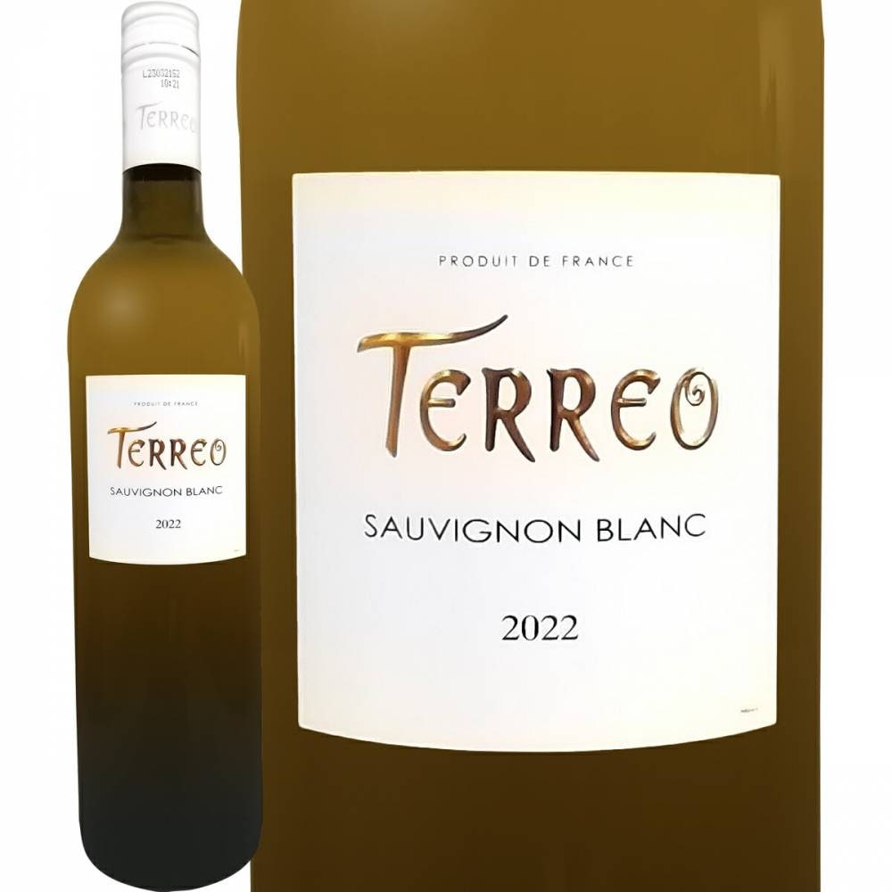 �ƥ쥪�����������˥��2022