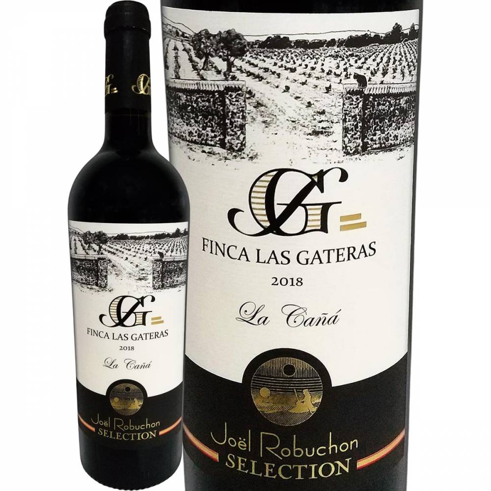 �㥸�票�롦���֥���󡦥��쥯������ �ե��󥫡��饹�����ƥ饹���顦���˥㡡2018