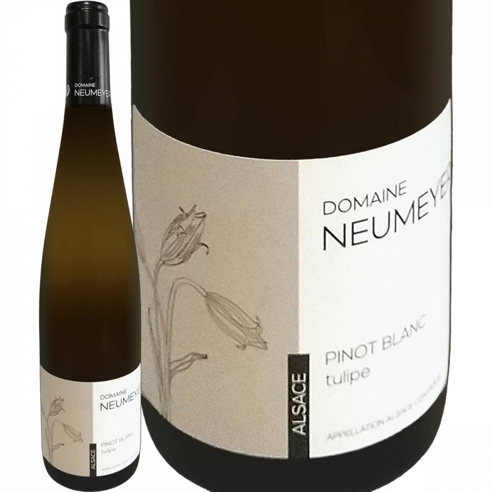 �ɥ᡼�̡��̡��ᥤ�䡼���ԥΡ��֥�󡡥顦���塼��å� 2022