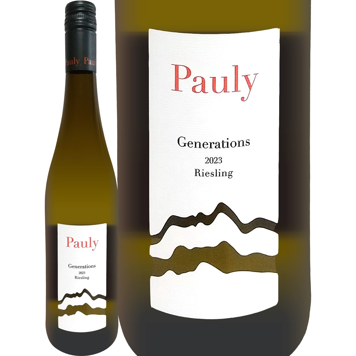 アクセル・パウリー・リースリング・ジェネレーションズ 2023 | 種類