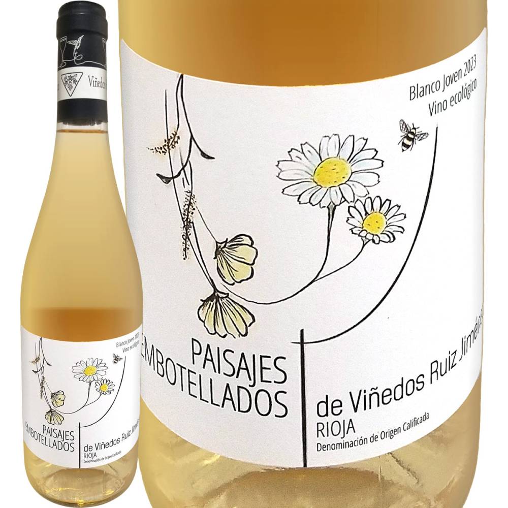 ӥΥǥ륤ҥͥ ѥإ֥ 2023