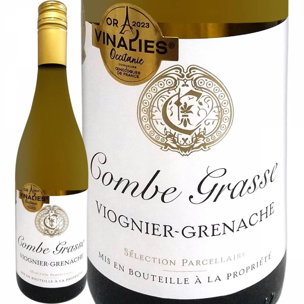 ����֡����饹���������˥�&����ʥå��塦�֥�� 2023