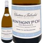 �����ȥ��󡦥����ȥ�ӥ奷������󥿥˥����ץ�ߥ�������� �ȥ졦�֡������ 2020