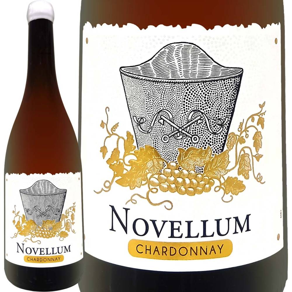 ɥ᡼̡ե Υࡦɥ 2024