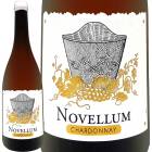 ɥ᡼̡ե Υࡦɥ 2024