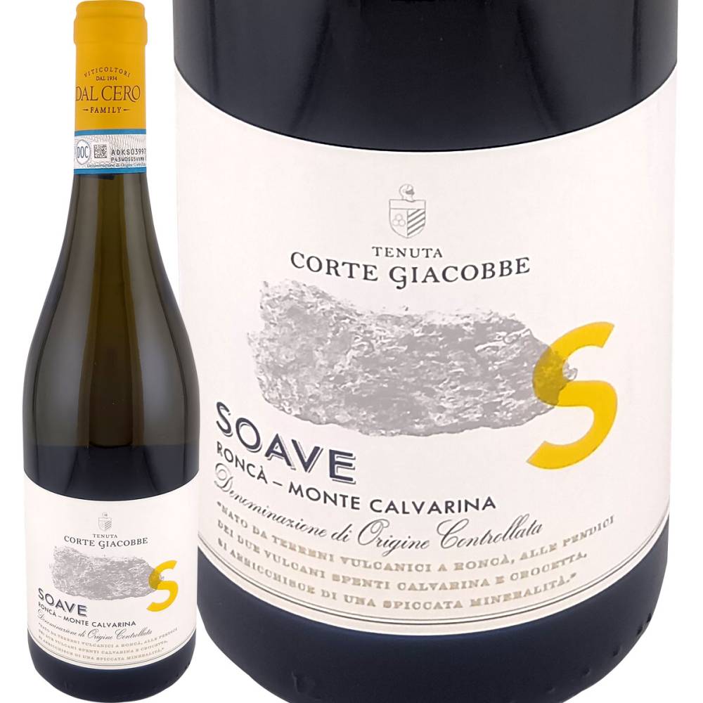 ƥ̡ǥơ㥳١ʥ롦)ơ㥳 2024