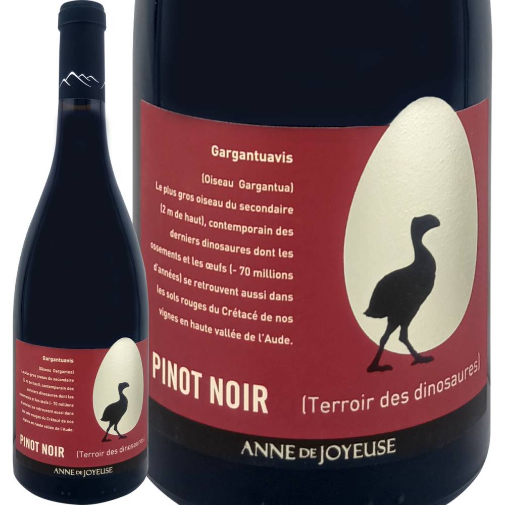 �����֡�����̡��ɡ�����磻�桼�������륬����奢���������ԥΡ��Υ�� 2024