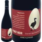 �����֡�����̡��ɡ�����磻�桼�������륬����奢���������ԥΡ��Υ�� 2024