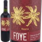 �ե����������٥�͡����������˥�󡡥ꥼ�������2024