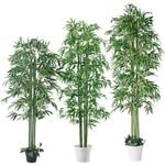 �Х�֡���͹����ڡ�Ω�ڡ�ȭ������