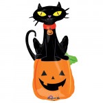 �ϥ������󡦥ե����Х롼�� �֥֥�å�����åȥ���ѥ�ץ����