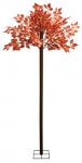 ��������꡼��Ω�ڡ�H210cm