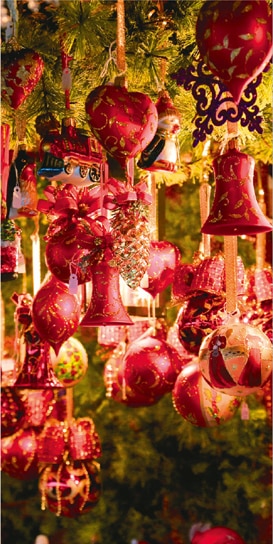 ���ڥ��ȥ꡼���ߡ֥����ʥ��ȡ��ɱ�ˡ�