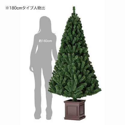 ���������١��� �̡��ɥĥ꡼�ڥ磻�ɡۡ�