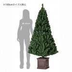 ���������١��� �̡��ɥĥ꡼�ڥ磻�ɡۡ�