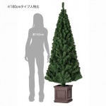 ���������١��� �̡��ɥĥ꡼�ڥ�����