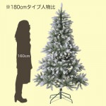 ������ͥ󥿥�ĥ꡼�ڥۥ磻�ȡۡ�