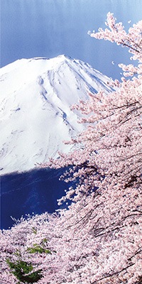 ���ڥ��ȥ꡼���ա��ٻκ���