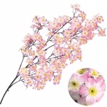 ��ޡ����륯����12�ܥ��åȡ�