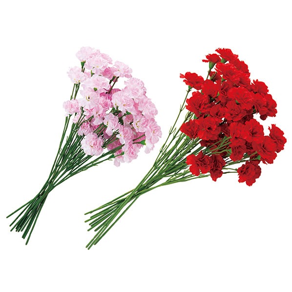 �����͡�����󥹥ץ졼 ��24�ܥ��åȡ�