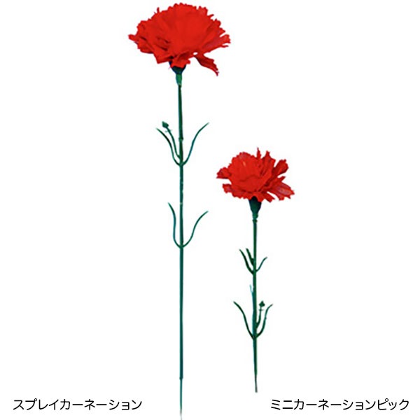 B2大 ポスター CARNATION CRIME　カーネーションクライム B2大 ポスター CARNATION CRIME カーネーションクライム